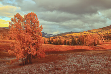 浙江宁波新增6例确诊病例(宁波新增确诊11例)